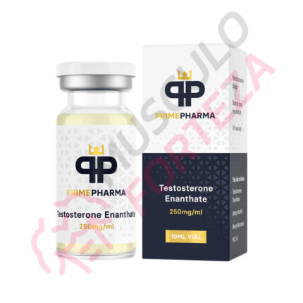 Testosterone Enanthate 250mg/ml – Prime Pharma