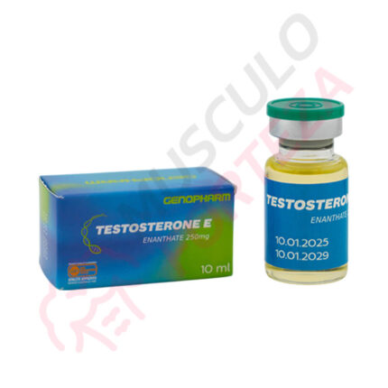 Testosterone E 250mg/ml – Genopharm