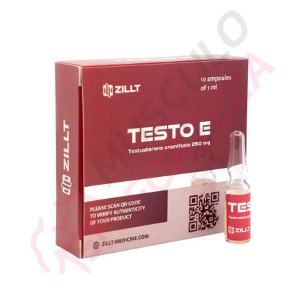 Testo E 250mg/ml – Zillt Medicine