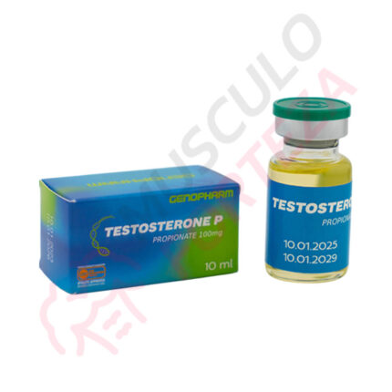Testosterone P 100mg/ml – Genopharm